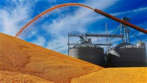 俄烏沖突或令全球糧食價格上漲20% 全球糧食貿(mào)易供需面臨的問題分析