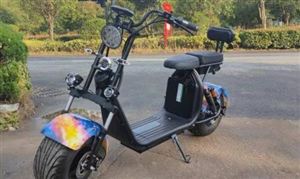 電動(dòng)兩輪車進(jìn)入智能化時(shí)代 電動(dòng)兩輪車行業(yè)市場(chǎng)分析