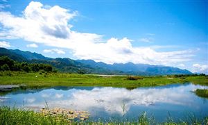 生態(tài)環(huán)境行業(yè)市場(chǎng)深度分析及發(fā)展策略研究