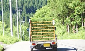 2022-2026農業(yè)物流行業(yè)前景及現狀調研報告分析