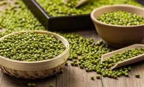 綠豆行業(yè)市場分析 綠豆市場前景展望