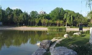 2022年生態(tài)主題公園行業(yè)發(fā)展前景及市場規(guī)模分析