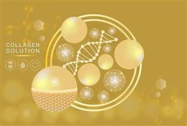 2022中國(guó)膠原蛋白市場(chǎng)投資前景分析及發(fā)展趨勢(shì)