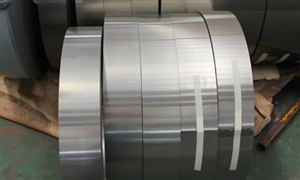 2022年電工鋼行業(yè)現(xiàn)狀及發(fā)展前景分析