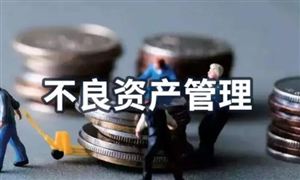 中國(guó)不良資產(chǎn)管理發(fā)展前景及未來(lái)趨勢(shì)分析