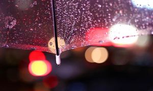 中國(guó)雨傘行業(yè)出口量 雨傘市場(chǎng)未來(lái)發(fā)展方向分析