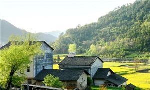 人口老齡化已成為全球普遍現(xiàn)象 農(nóng)村養(yǎng)老保險(xiǎn)行業(yè)市場分析