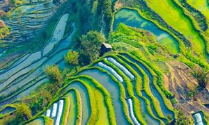 云南高原特色農(nóng)業(yè)產(chǎn)業(yè)發(fā)展現(xiàn)狀及市場(chǎng)規(guī)模預(yù)測(cè)