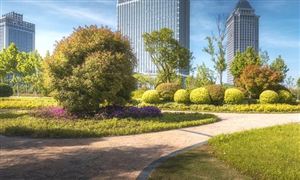 中國智慧社區(qū)發(fā)展現(xiàn)狀和前景分析