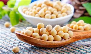 大豆蛋白產(chǎn)業(yè)市場需求及發(fā)展空間分析