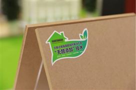 2022中國無醛膠行業(yè)競爭趨勢及投資風險研究