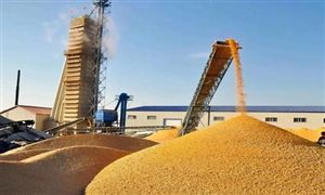 2022年糧食倉儲行業(yè)發(fā)展前景及市場模式調(diào)研分析