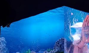 裸眼3D顯示器行業(yè)應(yīng)用場景及投資規(guī)模預(yù)測