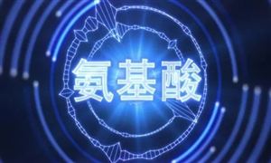 2022年氨基酸行業(yè)發(fā)展前景及市場(chǎng)規(guī)模調(diào)研報(bào)告分析