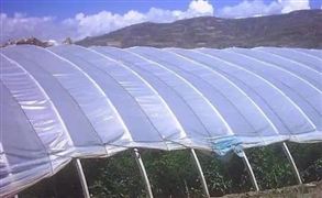 農(nóng)用薄膜行業(yè)市場調(diào)研 農(nóng)用薄膜市場前景展望