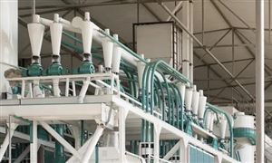 油料加工機械行業(yè)市場調(diào)研 油料加工機械行業(yè)前景預(yù)測