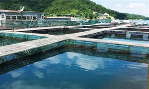 2022年水產(chǎn)養(yǎng)殖行業(yè)發(fā)展前景預(yù)測及市場調(diào)研分析