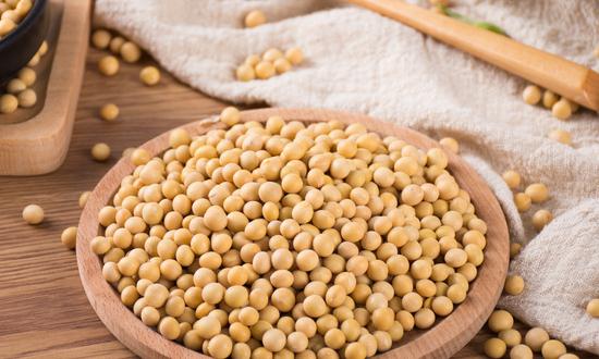 2023年大豆深加工行業(yè)發(fā)展趨勢(shì)分析