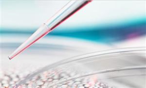 2022生物刺激素行業(yè)前景及現(xiàn)狀分析
