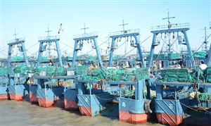 遠洋捕撈行業(yè)市場分析 消費市場前景廣闊
