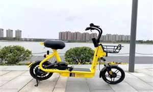2022年電動單車行業(yè)發(fā)展前景及市場規(guī)模分析
