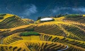 種植業(yè)行業(yè)市場(chǎng)現(xiàn)狀及發(fā)展趨勢(shì)分析2022