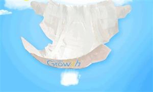2022年嬰兒紙尿褲行業(yè)發(fā)展趨勢(shì)及市場(chǎng)定位分析