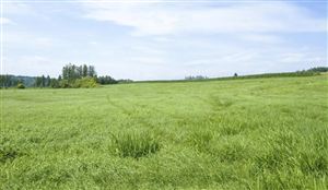 2022全球除草劑市場份額與價(jià)格發(fā)展趨勢
