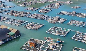 2022海水養(yǎng)殖行業(yè)市場全景調(diào)研及投資前景分析報告