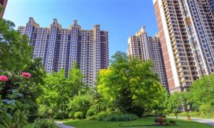 2022城市公園綠化行業(yè)市場深度分析及前景分析報(bào)告