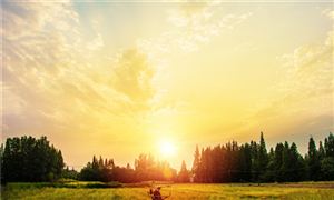 2022農(nóng)機行業(yè)發(fā)展現(xiàn)狀及前景分析