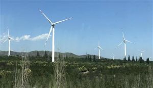 2022中國海上風(fēng)電市場裝機(jī)規(guī)模與發(fā)展政策規(guī)劃