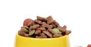 中國寵物食品市場調(diào)研：預(yù)計(jì)市場規(guī)模有望達(dá)到約2417億元