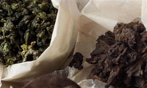 油茶種植面積、產(chǎn)量分析 2022油茶行業(yè)發(fā)展趨勢分析