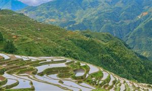 2022微生物發(fā)酵行業(yè)供需趨勢(shì)及市場(chǎng)空間分析