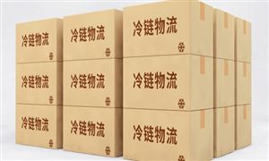 冷鏈物流行業(yè)市場調(diào)研