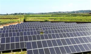 行業(yè)分析 2022光伏硅片需求態(tài)勢與發(fā)展趨勢調(diào)研報(bào)告
