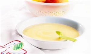 嬰兒輔食行業(yè)市場(chǎng)全景調(diào)研