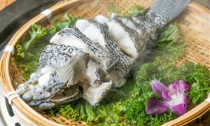 石斑魚(yú)的種類(lèi)有哪些?石斑魚(yú)行業(yè)市場(chǎng)產(chǎn)量分析