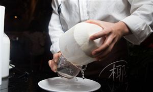 椰汁最新行業(yè)前景分析及市場(chǎng)規(guī)模調(diào)研報(bào)告