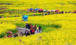 國慶假期4.22億人次出游 鄉(xiāng)村旅游行業(yè)發(fā)展現(xiàn)狀