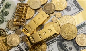 2022中國普惠金融行業(yè)市場全景調(diào)研與發(fā)展前景預(yù)測