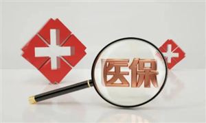 北京醫(yī)保平臺可辦理個賬家庭共濟備案 “十四五”社保信息化產(chǎn)業(yè)發(fā)展前景趨勢分析