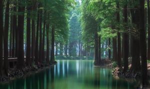 全國濕地保護(hù)規(guī)劃：2025年我國濕地保護(hù)率將達(dá)55% 濕地行業(yè)現(xiàn)狀分析
