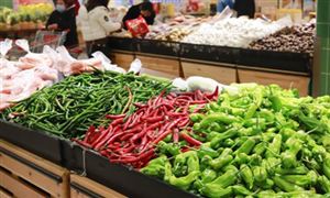中國生鮮商超行業(yè)市場全景調(diào)研 從線下走向線上的私域之路