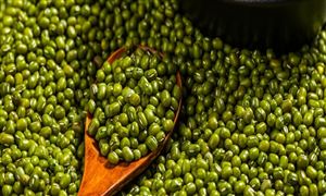 綠豆行業(yè)市場前景如何 綠豆行業(yè)市場分析2022