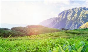 中國(guó)夜間旅游行業(yè)發(fā)展態(tài)勢(shì)與前景展望