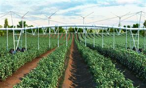 榨菜市場競爭分析 榨菜市場規(guī)模分析2022