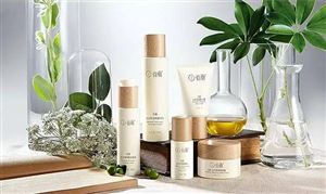 秋冬季節(jié)護(hù)膚品的選擇方法 護(hù)膚品市場消費(fèi)分析現(xiàn)狀調(diào)查