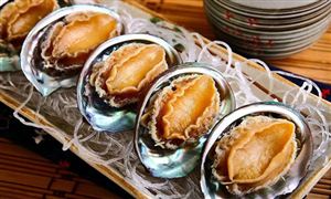 鮑魚養(yǎng)殖行業(yè)發(fā)展 鮑魚消費量及鮑魚養(yǎng)殖行業(yè)現(xiàn)狀